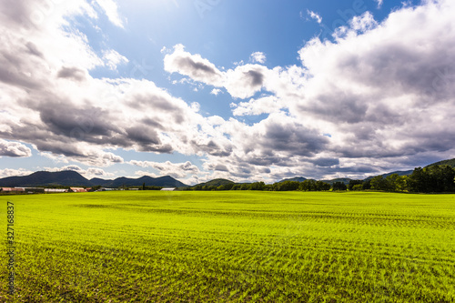 日本・北海道東部、弟子屈町の牧草地