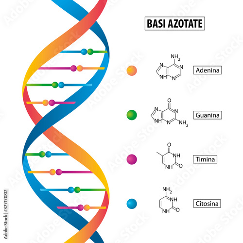 DNA e basi azotate