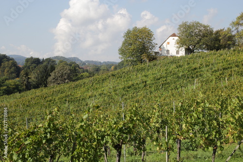 südsteirisches Weinland bei Graz