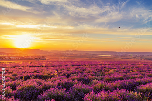 Lavender field at sunset. Great summer landscape. © lizavetta