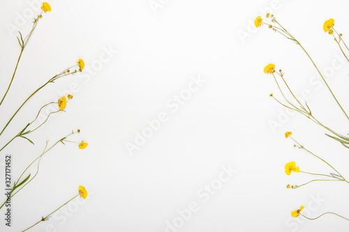 Composition of dried flowers and herbs. Light background. Herbarium.