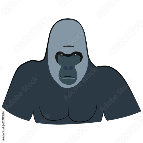 vector illustration of a head