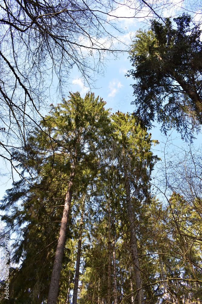 Obraz premium Natur, Tiere