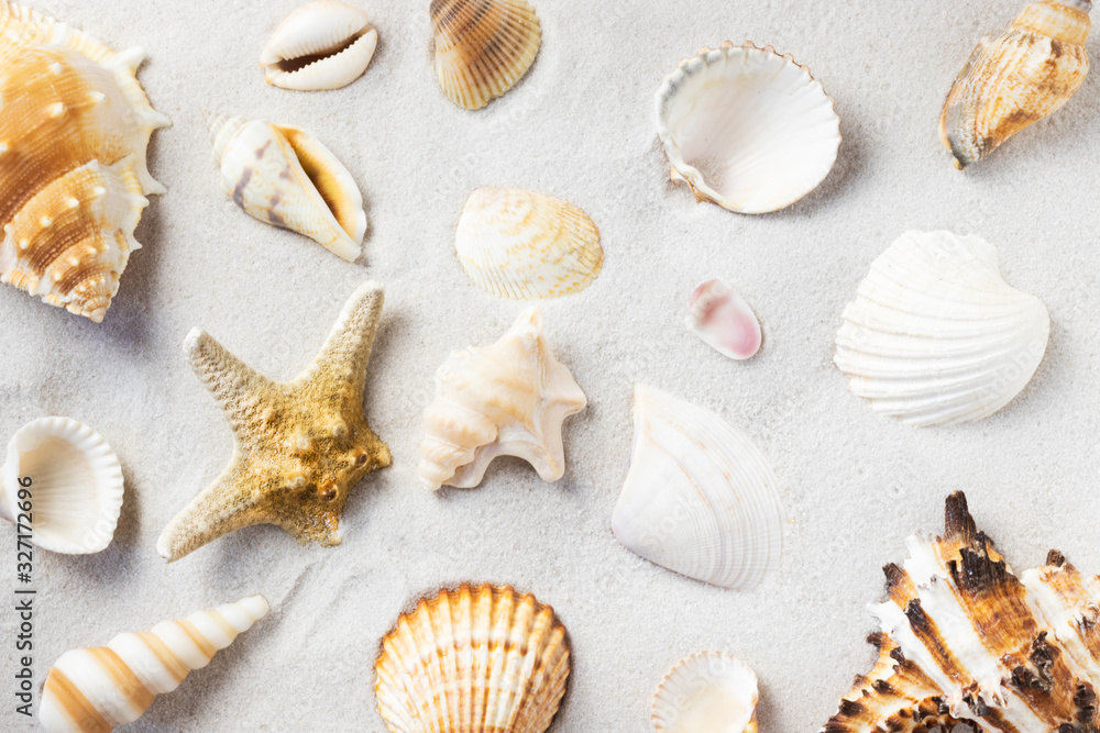 summer background with seashells in the sand, horizontal top view