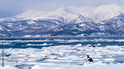 流氷　オオワシ　知床連山