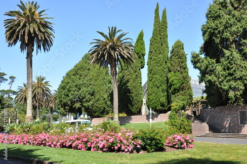 Landscape at Auckland Domain Winter Gardens, North Island, New Zealand. © Bob