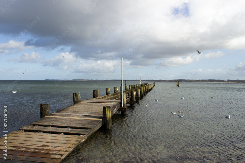 pier and seagulls in germany