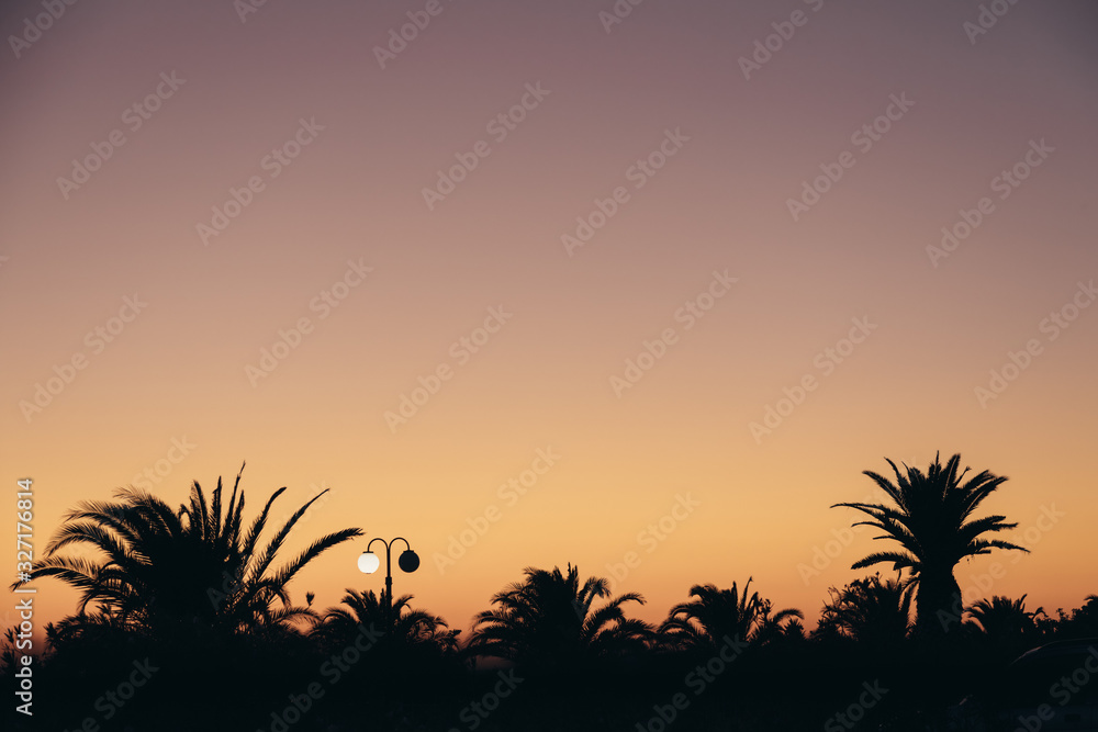 Tropical sunset with silhouettes of palm trees  