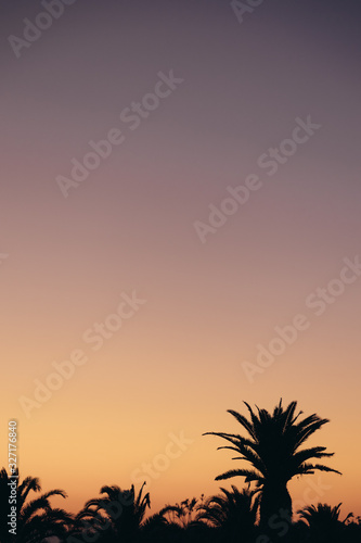 Tropical sunset with silhouettes of palm trees 