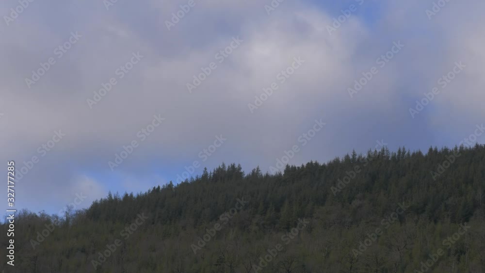 Time lapse of clouds and glimpses of sunlight on Irish woodland scene Time lapse of clouds and glimpses of sunlight on Irish woodland scene