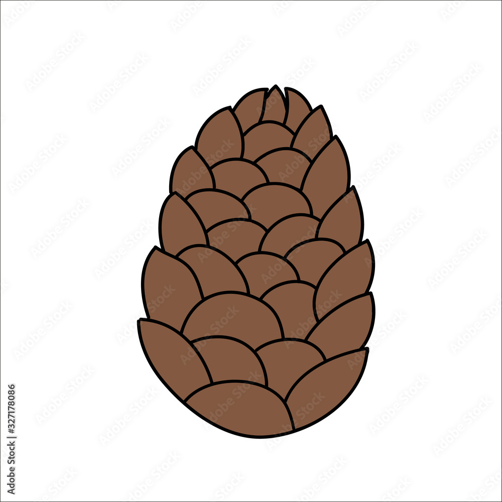 Closed fir cone. Vector illustration on white background. Closed fir cone. Vector illustration on white background.