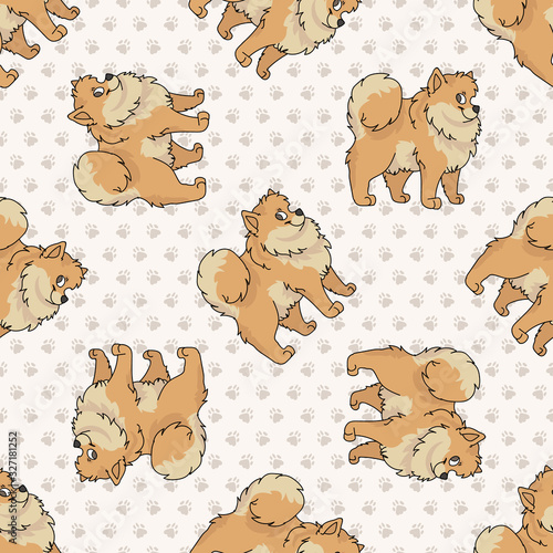 Hand drawn cute pomeranian breed dog seamless vector pattern. Purebred pedigree domestic dog on paw background. Dog lover spitz pet all over print. Kennel pooch. EPS 10. 