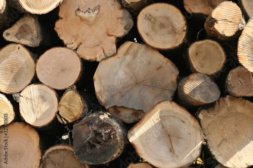 Missouri Logging 2020 III