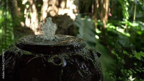 water fountain decoration in green garden