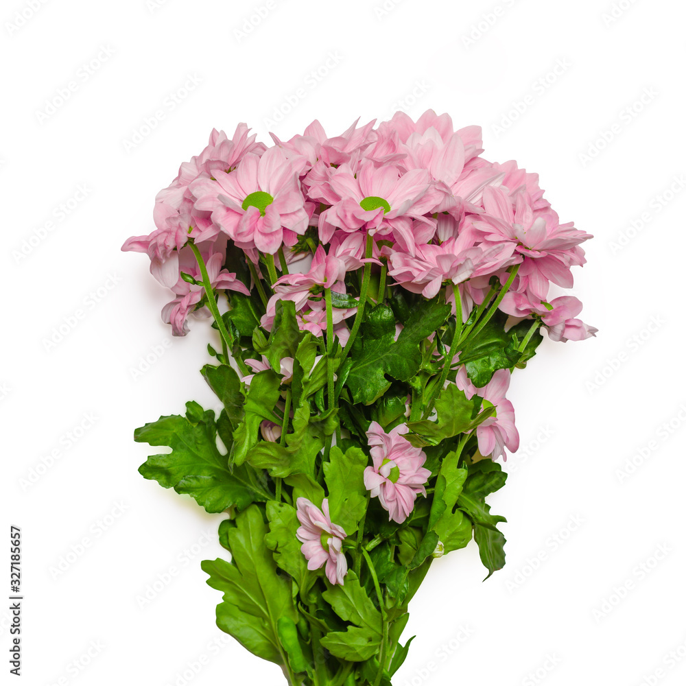 Lovely pink flower bouquet present isolated Lovely pink flower bouquet present isolated
