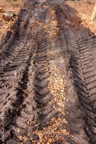 Skidder tire tracks along muddy logging trail © IHX