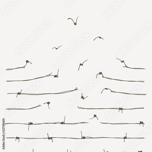 Photography hand drawn illustration of a freedom concept