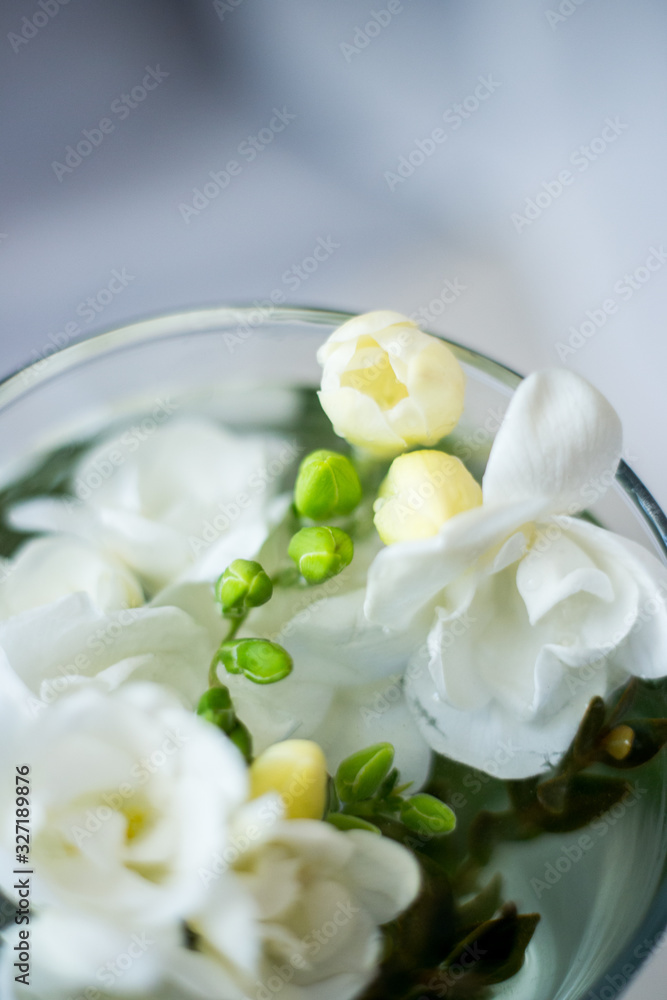 white freesia flowers in a glass white freesia flowers in a glass