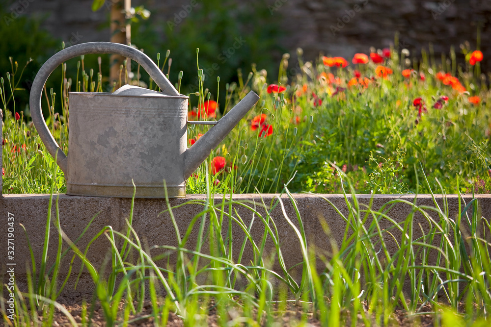 Arrosoir dans un jardin fleuri.