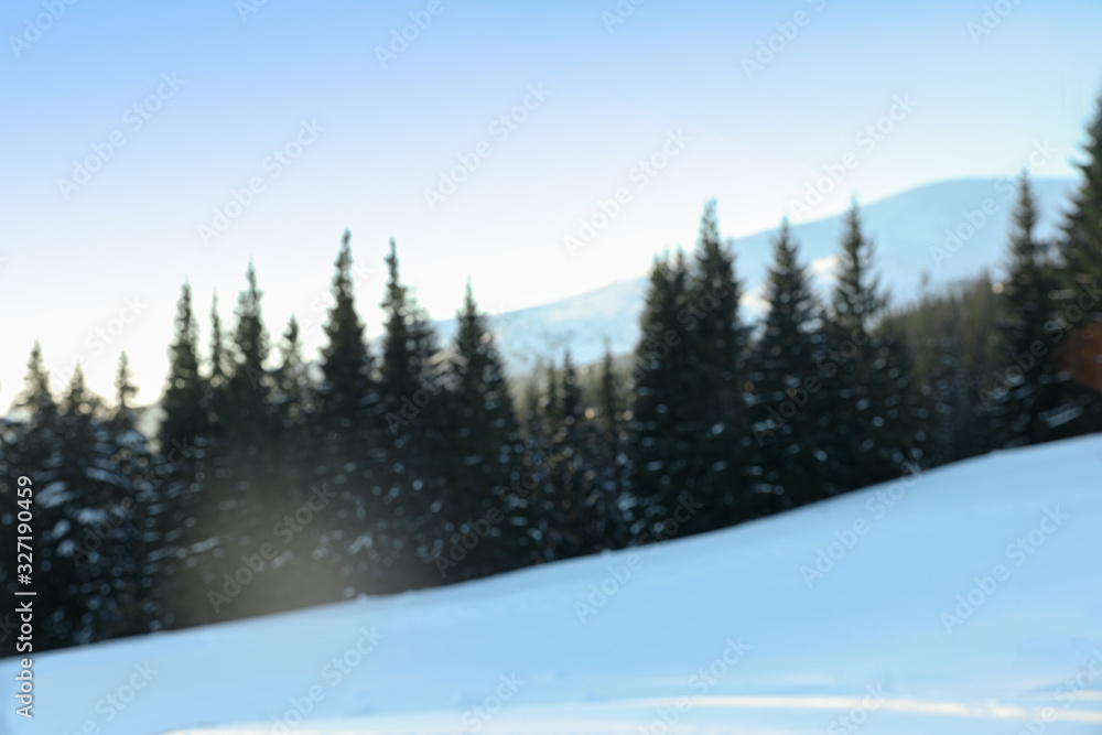 Blurred view of snowy forest in winter