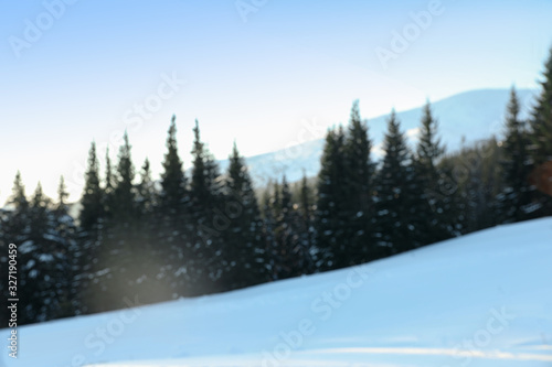 Blurred view of snowy forest in winter © New Africa