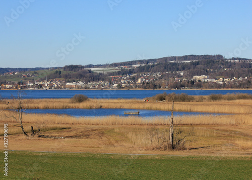 Shore of Lake Pfaffikon on a winter day. photo