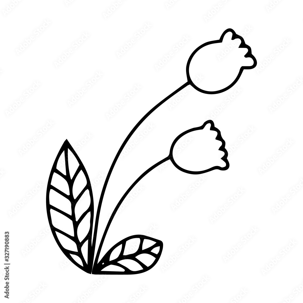 illustration of a flower sketch on white background, outline doodle flower