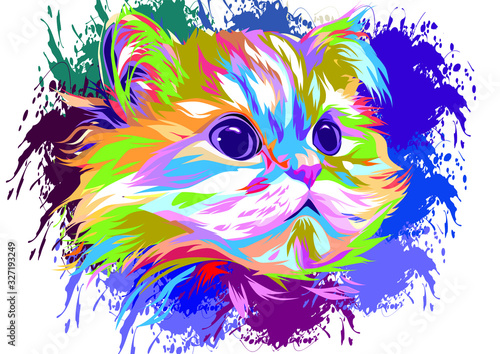 Colorful cute cat