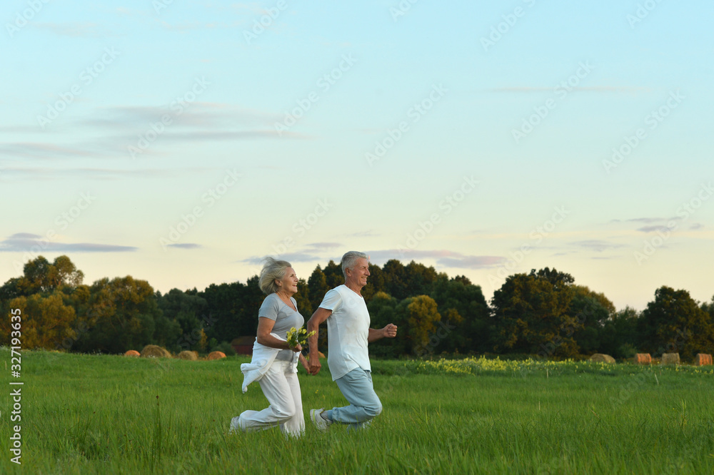 Happy beautiful senior couple running in summer field