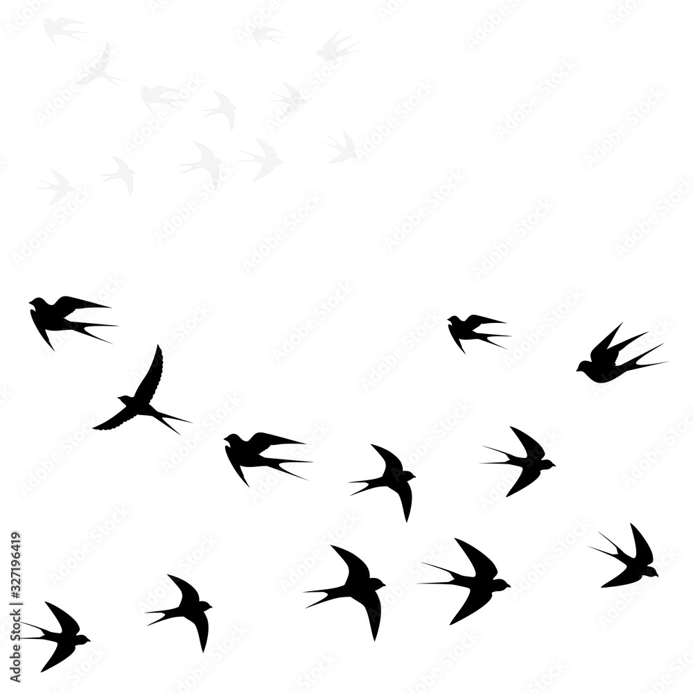 Naklejka birds fly in two flocks