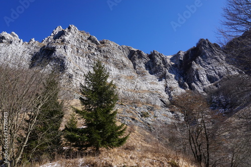 Rock face of Mount Corchia, in the Apuan Alps