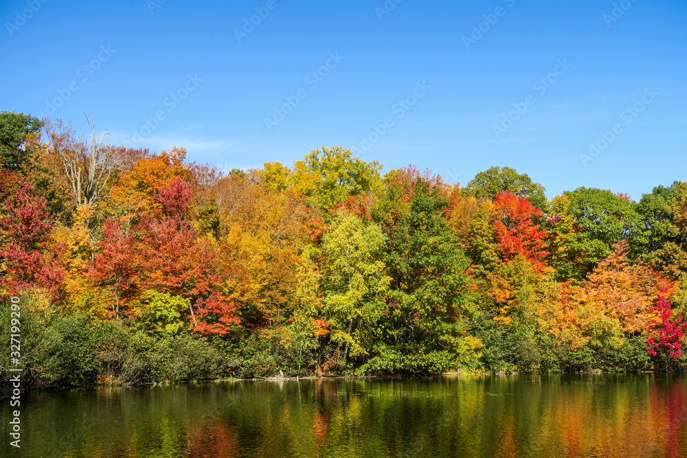 Colorful and autumnal trees reflecting in the water, at the St Bruno national park, Québec Colorful and autumnal trees reflecting in the water, at the St Bruno national park, Québec