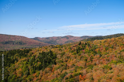 Beautiful landscape in the Mont-Tremblant national park  Quebec   in october