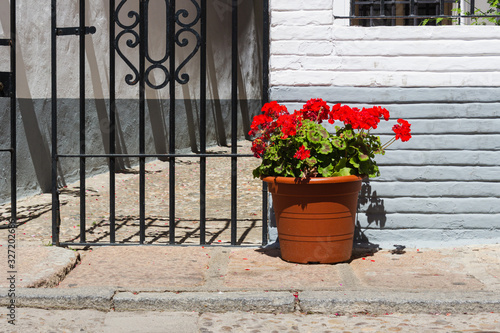 Fiesta de los patios, Cordoba, Spain. Houses decorated with flowers.