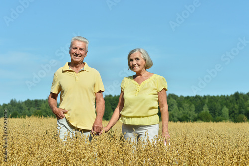 Portrait of senior couple resting at summer field