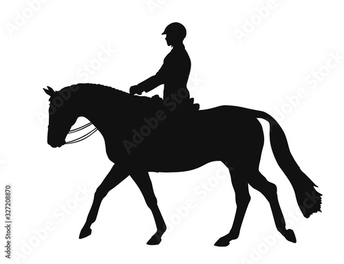 486 rider man dressage [преобразованный]