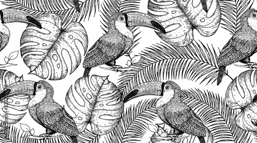 Seamless pattern with toucan and palm leaves. Hand drawn vector illustration. Tropical pattern. Jungle sketch illustration.