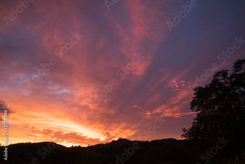 Willamette Valley Sunset. Sunset over the Willamette Valley near Corvallis, Oregon with Oregon White Oak in the foreground.