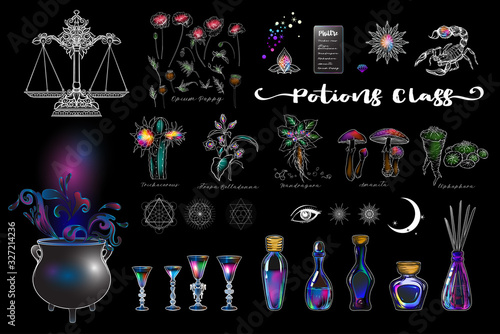 Clip art, set of elements for potions class with cauldron, wine glasses, bottles, magician plants and sacred geometry and symbols. Colored vector illustration..