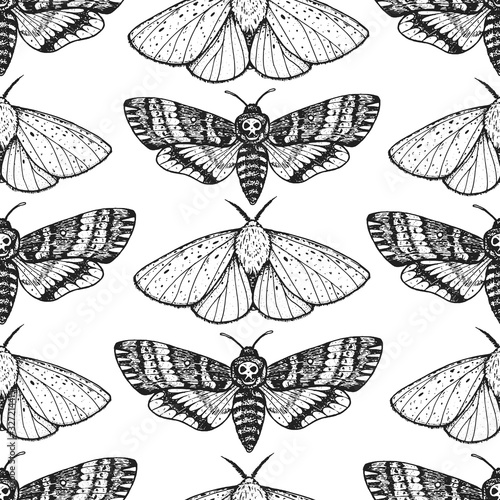 Butterfly seamless pattern. Engraving design. Hand drawn vector illustration. Butterfly sketch, vintage background. Moth seamless pattern.