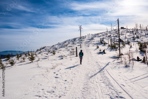 hiker woman goes in winter in mountains through beautiful landscape in sunny day, poland beskide