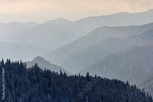 Snowy winter landscape of mountains. Coniferous forest in the hoarfrost. View of layers of mountain and haze in the hills at distance. Season of the winter.