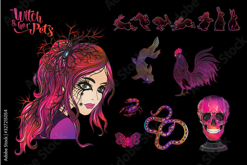 Young woman witch with her mystical pets and human skull. Clip art, Set of elements for design. Colored vector illustration.