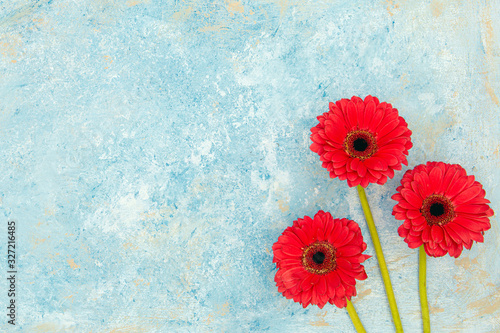 Fresh spring red flowers over blue textured background