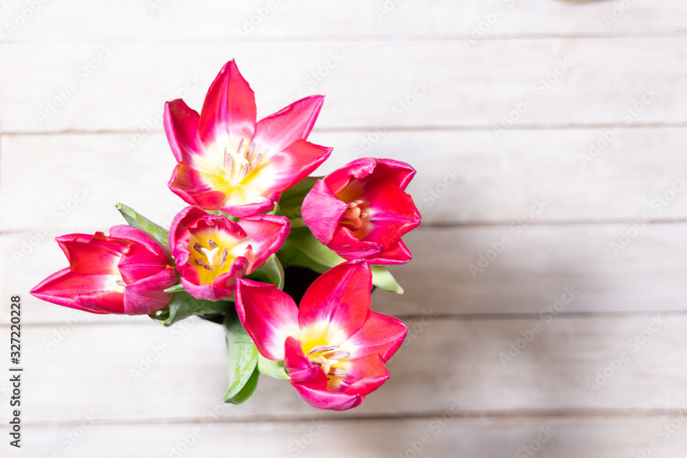 Red tulips bouquet on white wooden background with copy space