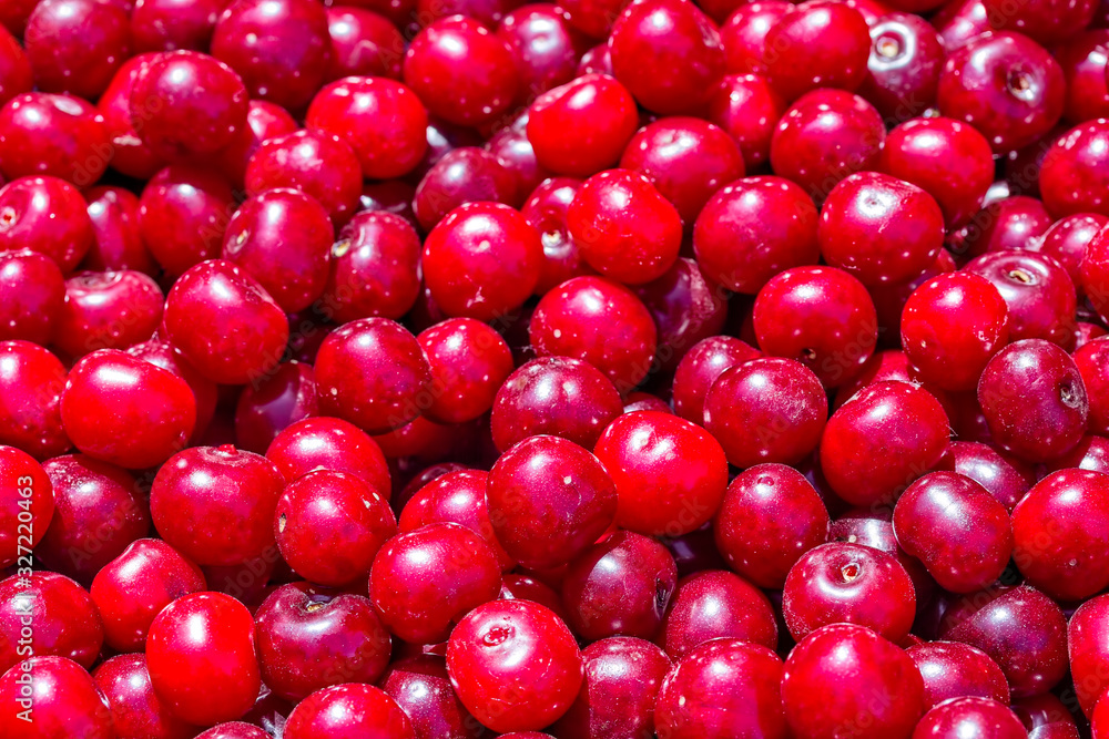 Cherry. Fresh ripe juicy organic berries, close-up. Fruit background Cherry. Fresh ripe juicy organic berries, close-up. Fruit background