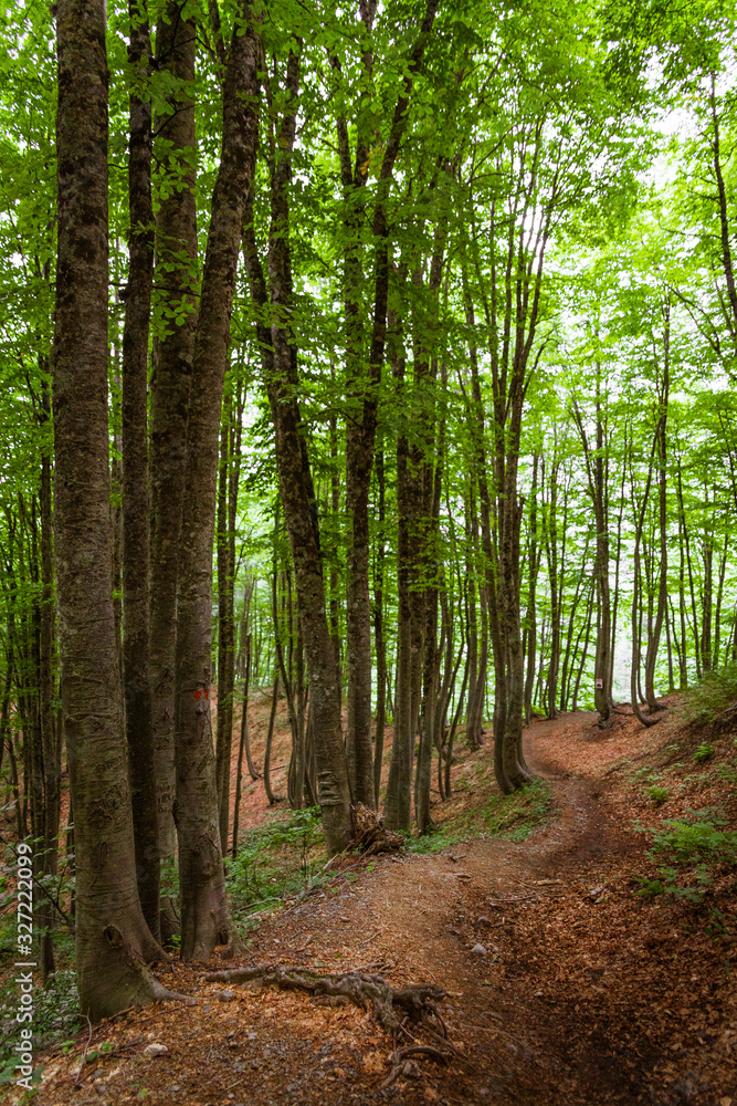 Obraz premium Adygea, Rosja