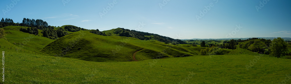panorama of rolling hills and meadows in rural new zealand