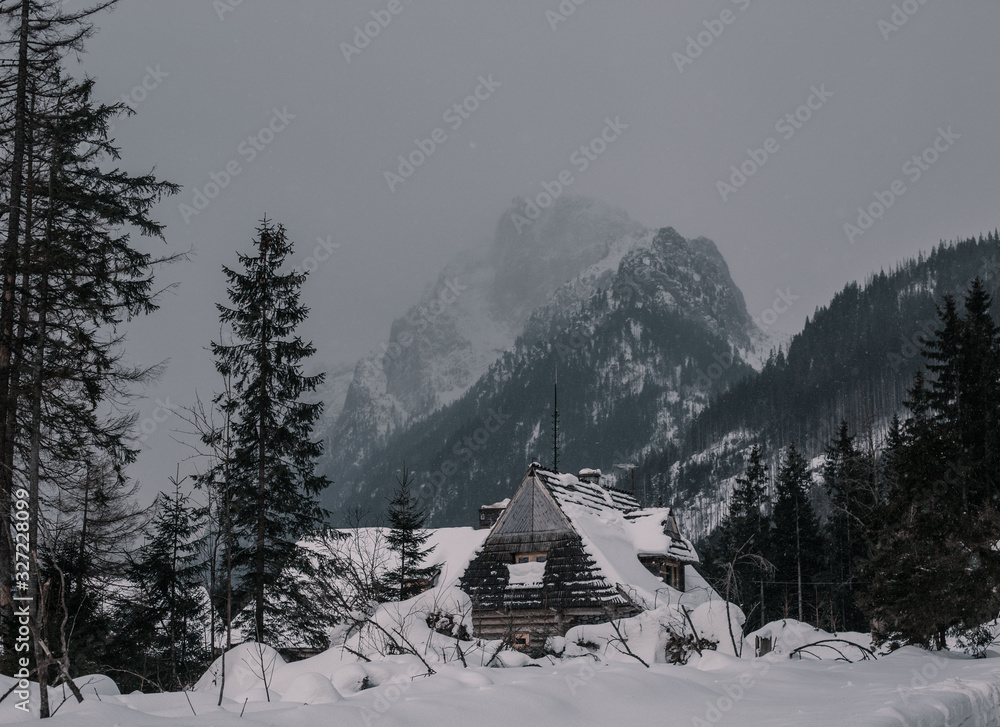 Traditional wooden houses in the background of the winter mountains in the ski resort of Zakopane, Koscielisko, Poland
