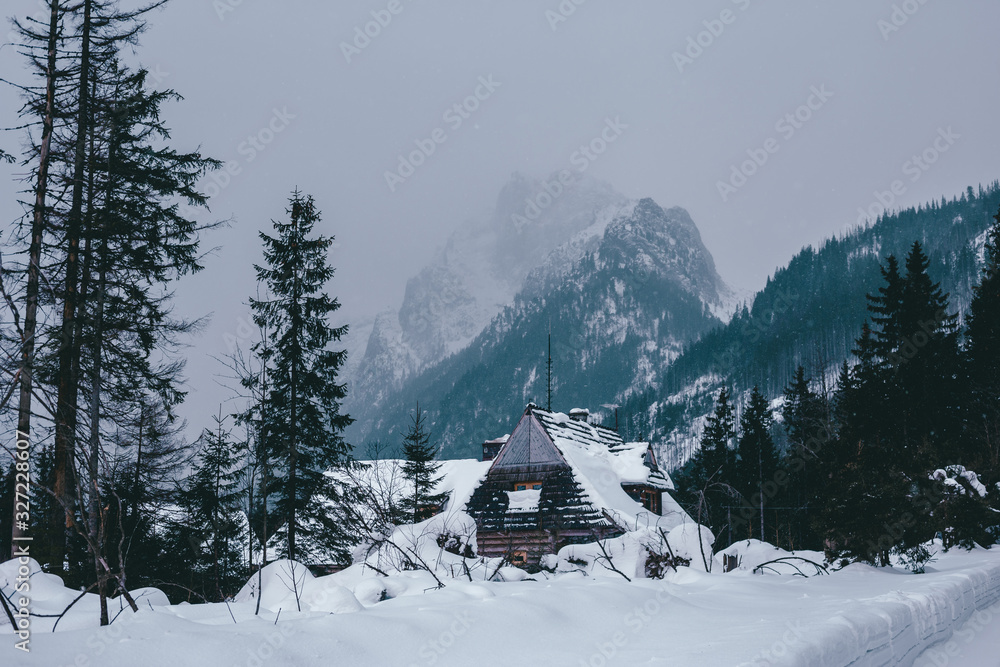 Traditional wooden houses in the background of the winter mountains in the ski resort of Zakopane, Koscielisko, Poland Traditional wooden houses in the background of the winter mountains in the ski resort of Zakopane, Koscielisko, Poland